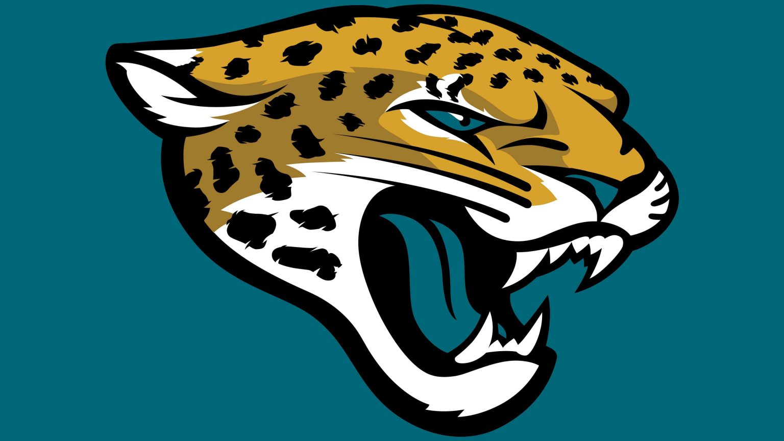 jacksonville jaguars houston texans